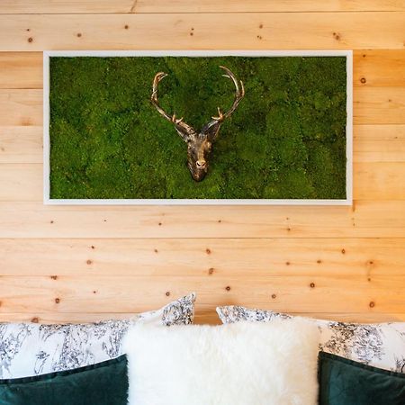 Haus Am Wald Villa Bad Schandau Ngoại thất bức ảnh