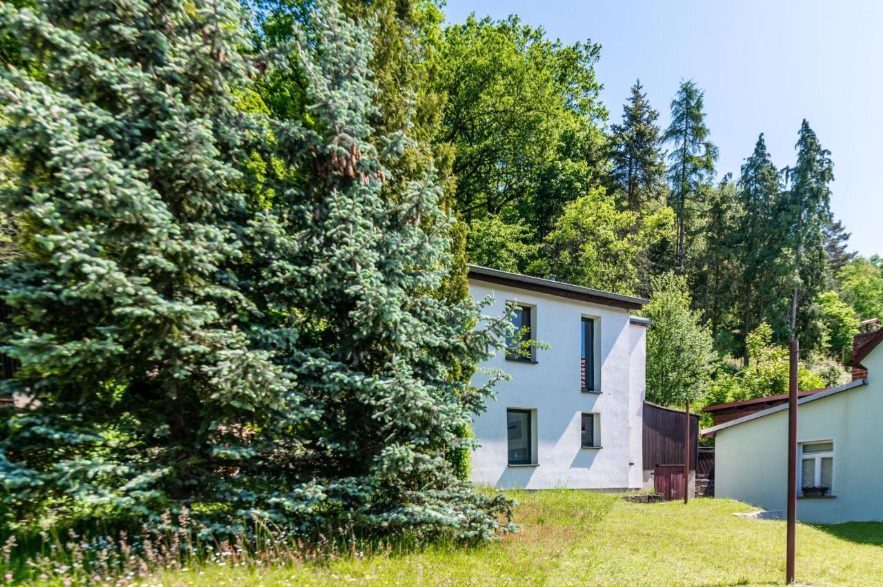 Haus Am Wald Villa Bad Schandau Ngoại thất bức ảnh