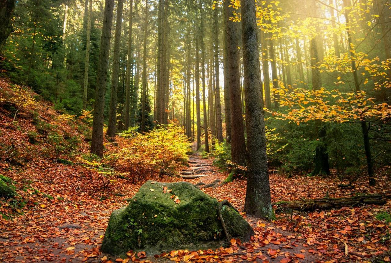 Haus Am Wald Villa Bad Schandau Ngoại thất bức ảnh